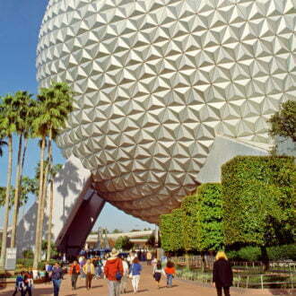 Rabies alert issued at parts of Disney World because of feral cat 2