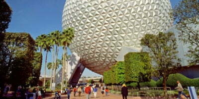 Rabies alert issued at parts of Disney World because of feral cat 4