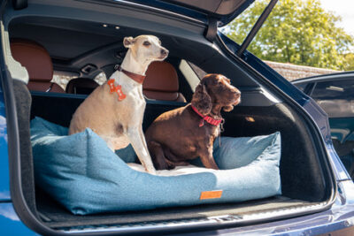 Traveling with Your Pup? Here's Why a Dog Bed for Your Car is a Must-Have! 11